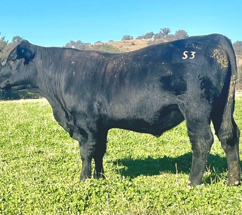 Excel Genetics - Dungowan, NSW