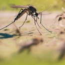 Nationwide Pest Management - Pest Control Equipment & Supplies