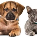 Belle Meade Animal Hospital - Pet Boarding & Kennels
