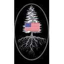 All American Tree Care - Tree Service