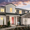 K Hovnanian Homes Encantada at Vineyard Terrace - Home Builders