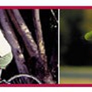 Advanced Physical Therapy Center - Physical Therapy Clinics
