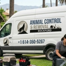 Animal Control & Removal Rockford - Humane Societies