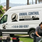 Animal Control & Removal Rockford