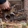 Palladin Pest Control gallery