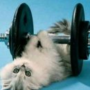 Blink Fitness