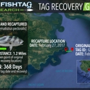 Gray FishTag Research, Inc. - Research Services