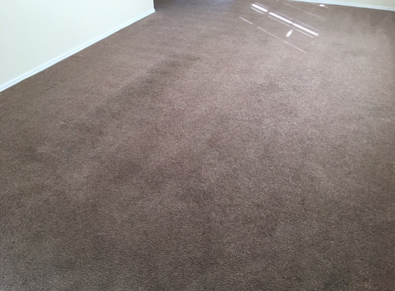 Amy' Services LLC - Tampa, FL. Amy's Service is fantastic!This carpet was full of stains & they were able to get them all out He saved us from having to replace the carpet