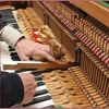 D. Evans Piano Tuner gallery