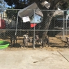 Downey Animal Care Center