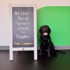 Four Leggers Pet Supplies & Services gallery