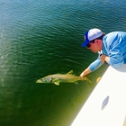 The Saltwater Hook up - Tampa Fishing Charters