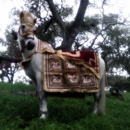 White Horse Carriage Co - Tours-Operators & Promoters