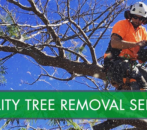 Arbortec Tree Service - Dubbo, NSW. Quality Tree Removal Service