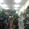 Jackie's Bonsai & Supplies gallery