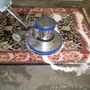 Five Step Carpet Care