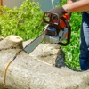 Ultimate Tree Service gallery