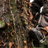 Appleseed Tree Service gallery