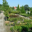 Water Crest Farms Nursery - Nurseries-Plants & Trees