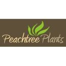 Peachtree Plants - Flowers, Plants & Trees-Silk, Dried, Etc.-Retail
