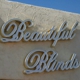 Beautiful Blinds