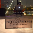 White Chameleon Entertainment - Disc Jockeys