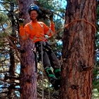 Chucks Tree Service