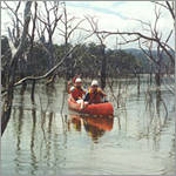 Gallery Image Number 2