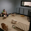 The Grooming Room Pet Resort gallery