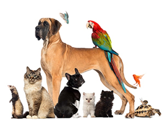 Avonsleigh Veterinary Clinic - Avonsleigh, VIC
