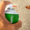 Dan The Bug Man gallery