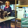 Double J Dog Grooming gallery