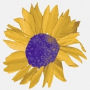 Sunny View Retirement Community - Assisted Living Facilities