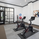 Camden Gallery Apartments - Apartments