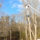 Alexander's Tree Service - Tree Service