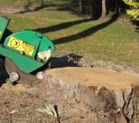 Affordable Stump Grinding - Elanora, QLD