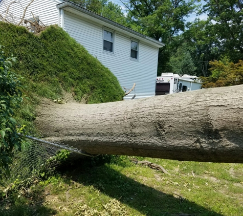 Big Timber Tree Service, LLC - Marlton, NJ
