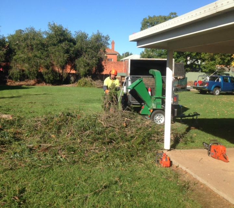 Eldridge Tree Service - Narrandera, NSW