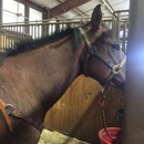 Brigadoon Stables, LLC - Stables