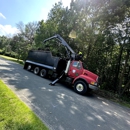 Trees by Forrest | Tree Removal Company in Plymouth, MN - Tree Service