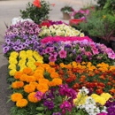 All Seasons Flowers and Produce - Garden Centers