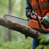 Express Tree Service Corporation gallery