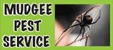 Mudgee Pest Service - Pest Control