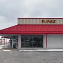 SURGE Staffing - Executive Search Consultants