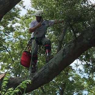 First Choice Tree Care, LLC