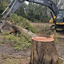 ARBOR PLEX TREE SERVICE - Tree Service
