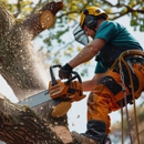 Clover Tree Service Corp - Tree Service
