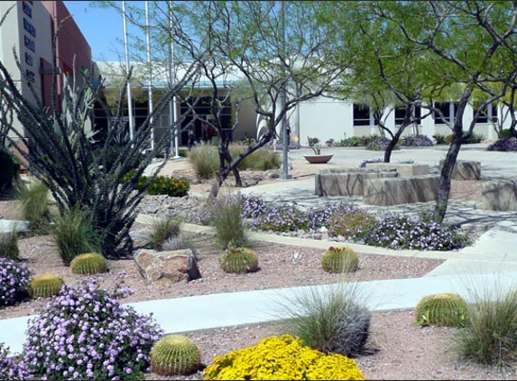 HMI Commercial Landscape - Phoenix, AZ