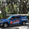 Wildout Animal & Pest Removal Tampa gallery