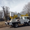 Cehand Tree Service & Construction gallery